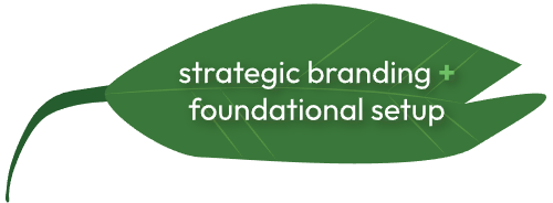 Strategic branding and foundational setup leaf